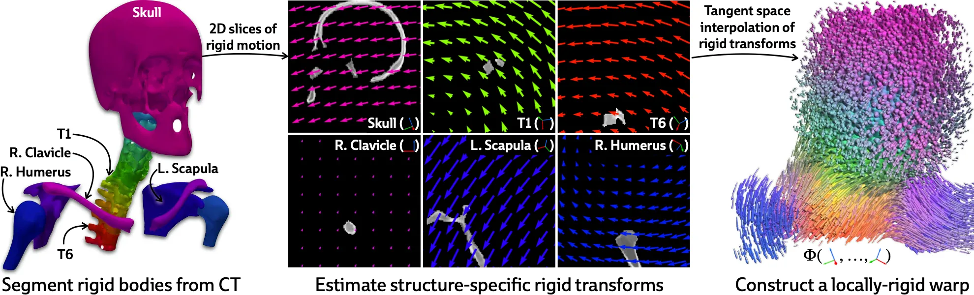 Illustration of polyrigid deformation fields.